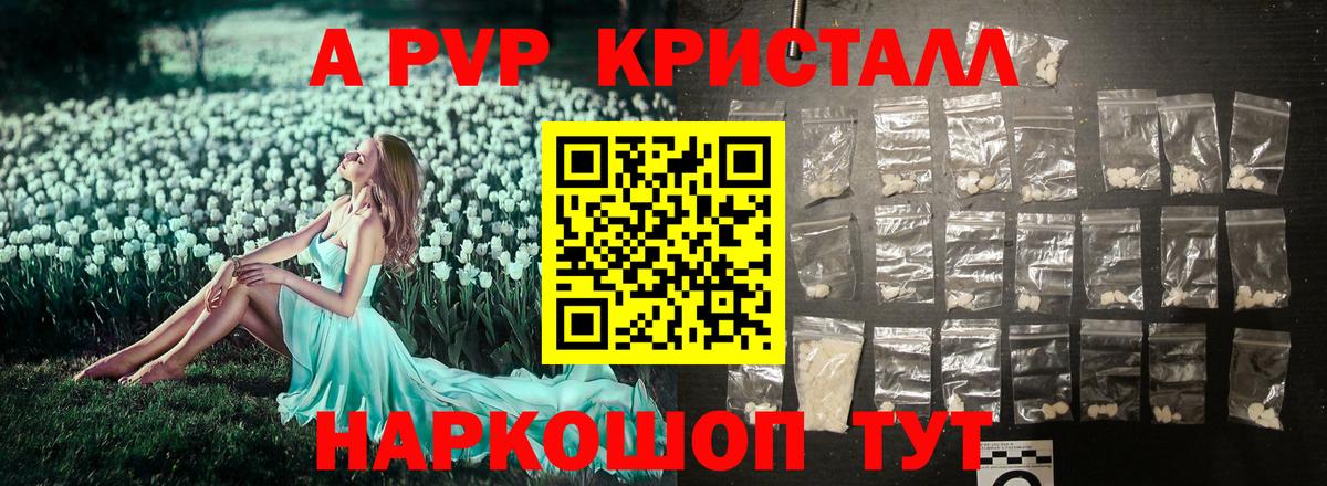 А ПВП СК КРИС Сыктывкар