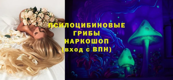 прущие крисы Михайлов