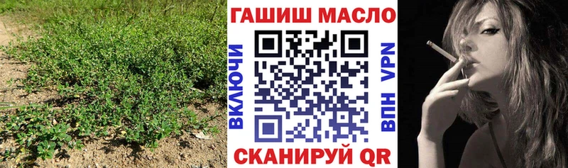 ТГК Wax Сыктывкар