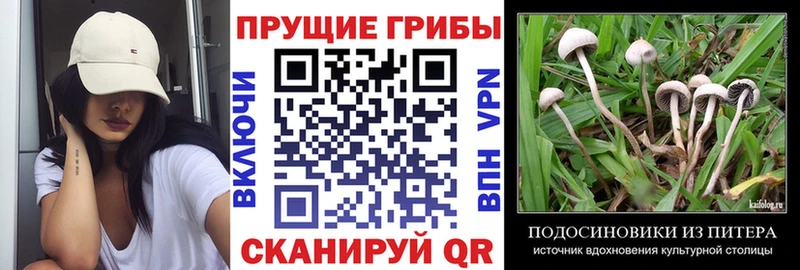Псилоцибиновые грибы ЛСД Сыктывкар