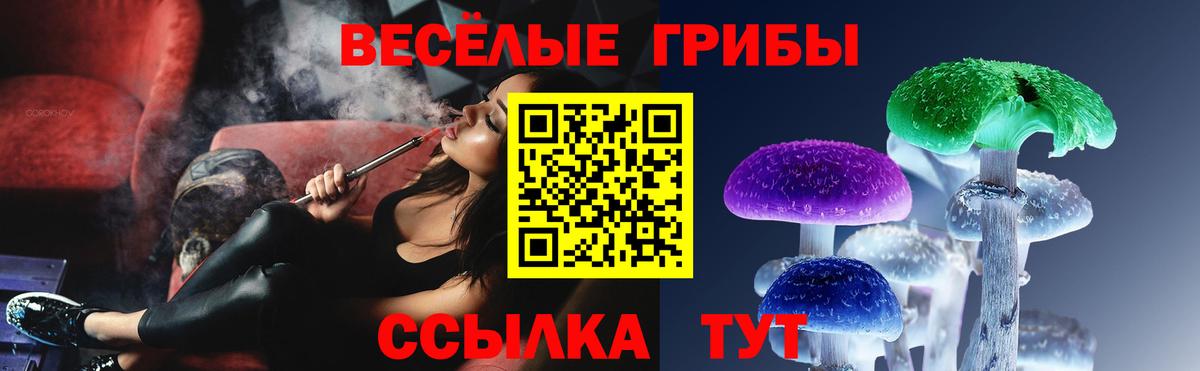 Галлюциногенные грибы прущие грибы Сыктывкар